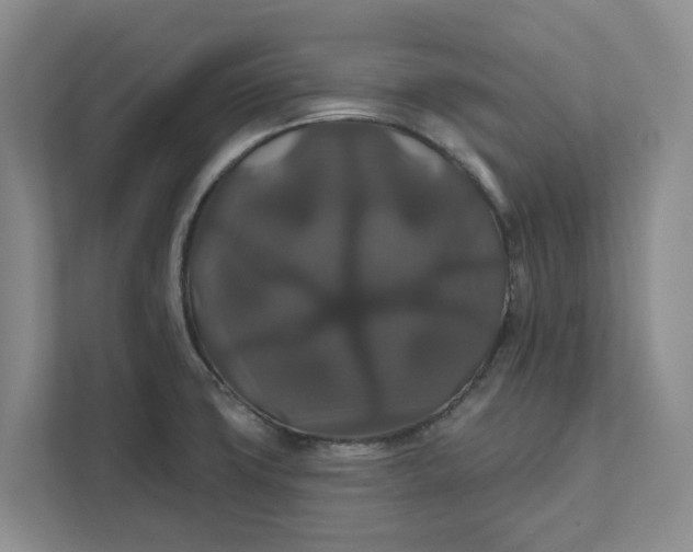 X0000111821427200908061126