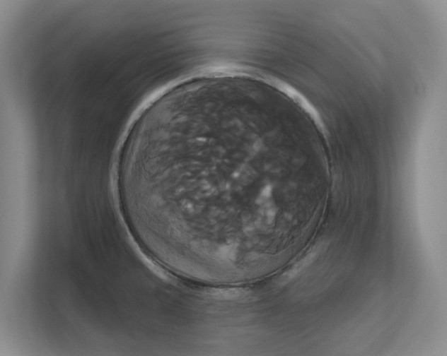 X0000111821429200908061126