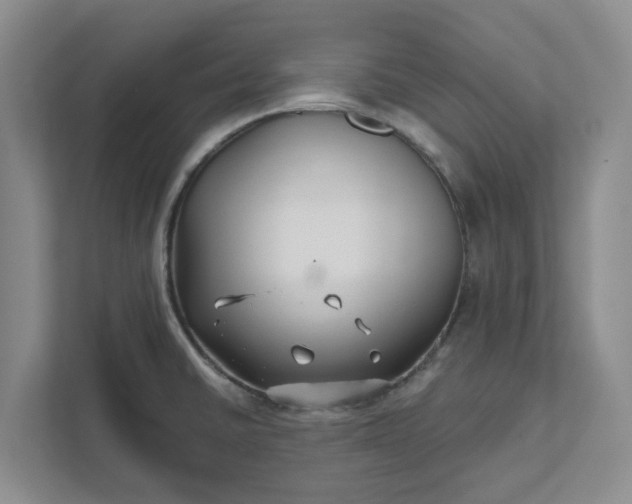 X0000111821430200908061126