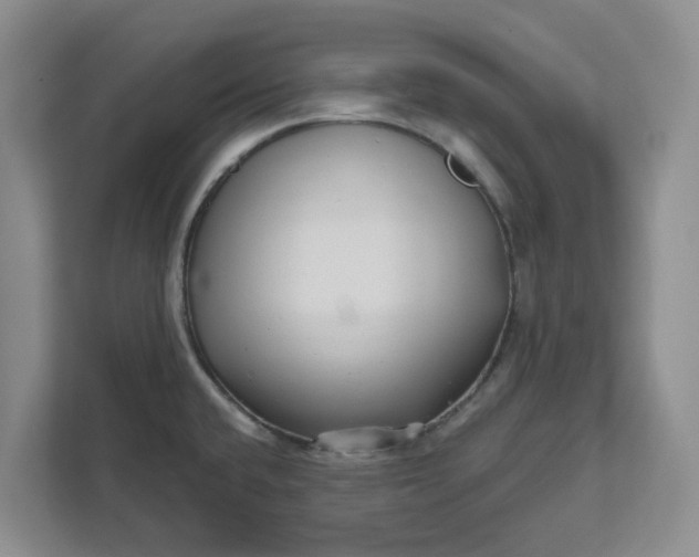X0000111821432200908061126