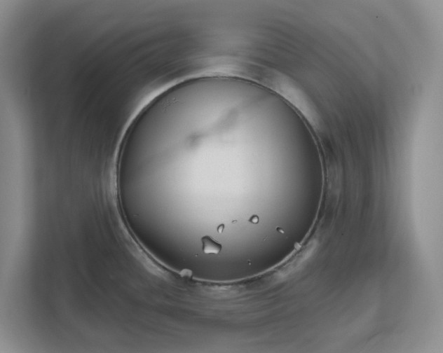 X0000111821436200908061126