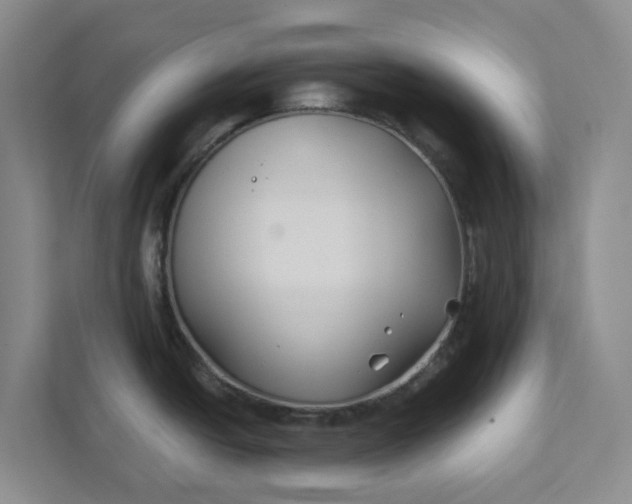 X0000111821438200908061126