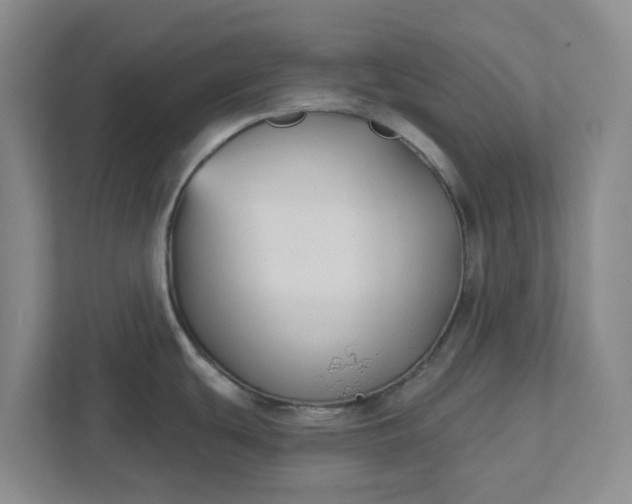X0000111821439200908061126