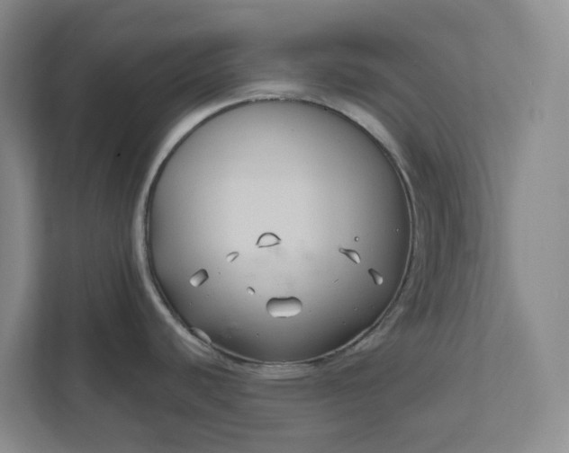 X0000111821440200908061126