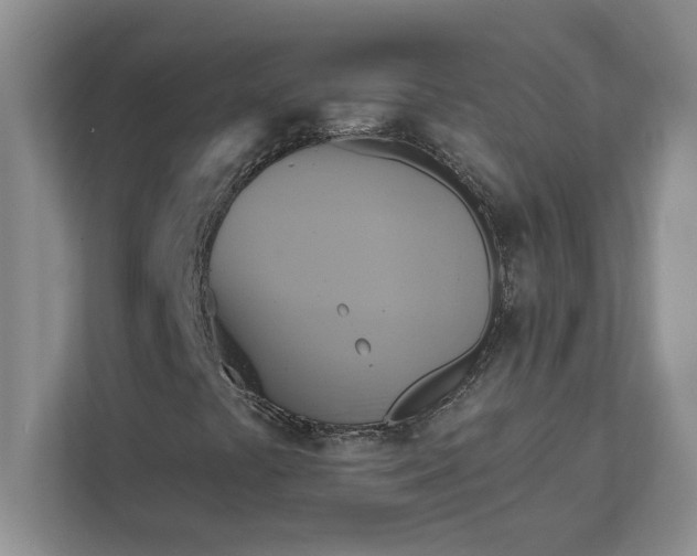X0000111821441200908061126