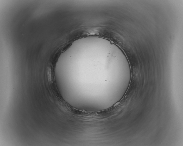 X0000111821442200908061126