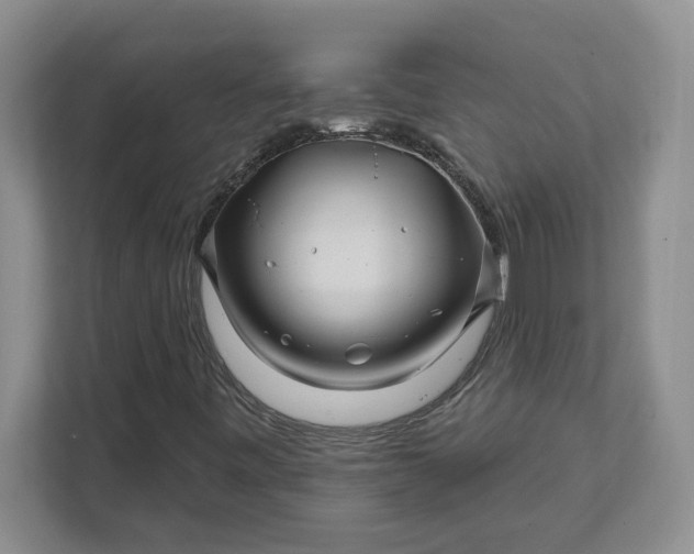 X0000111821443200908061126