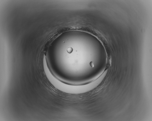 X0000111821444200908061126