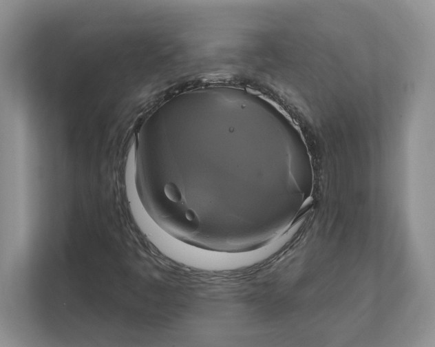 X0000111821445200908061126