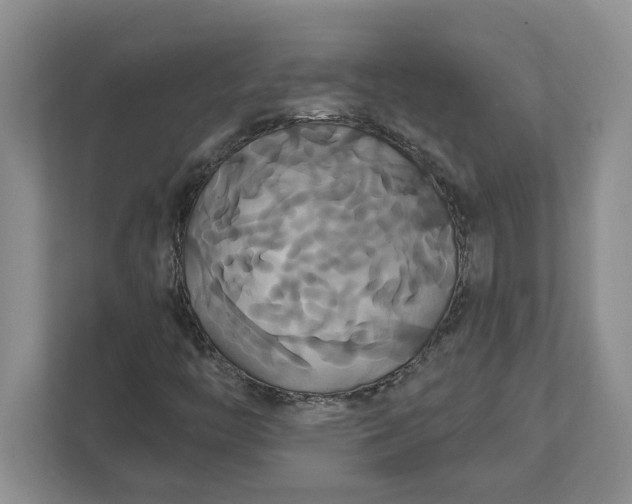 X0000111821446200908061126