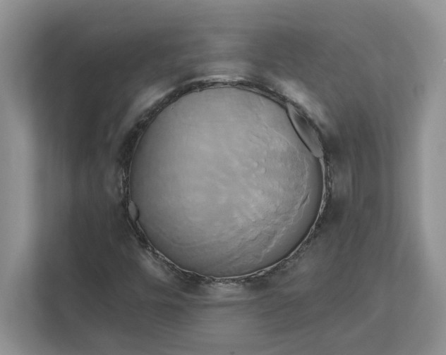 X0000111821448200908061126