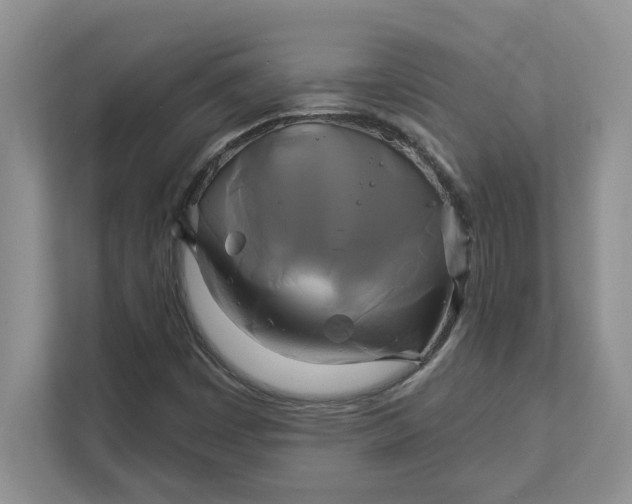 X0000111821449200908061126