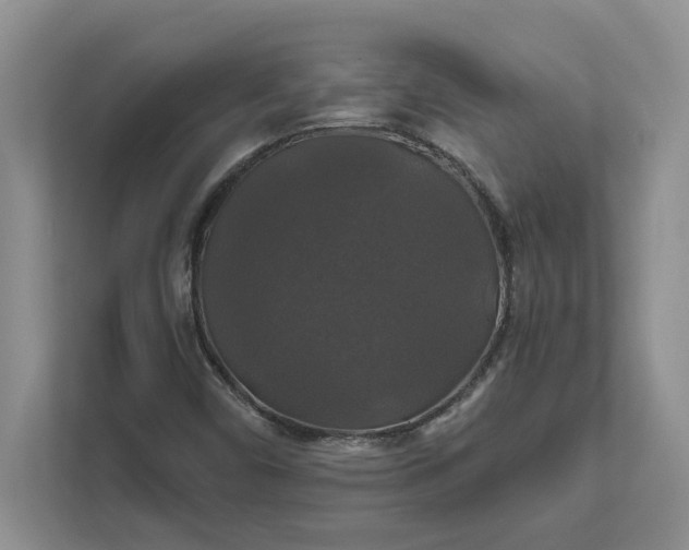 X0000111821450200908061126