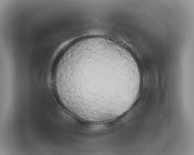X0000111821454200908061126