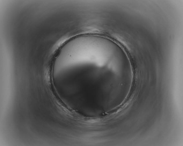 X0000111821455200908061126