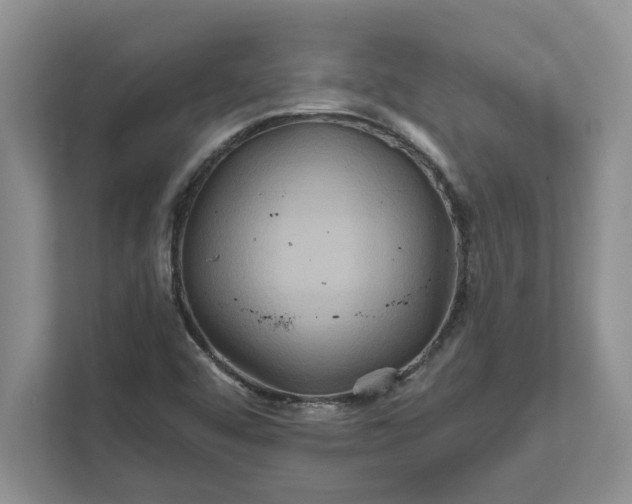 X0000111821456200908061126