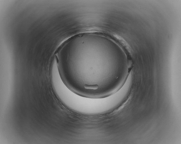 X0000111821457200908061126