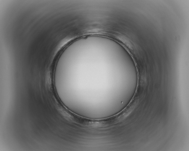 X0000111821458200908061126