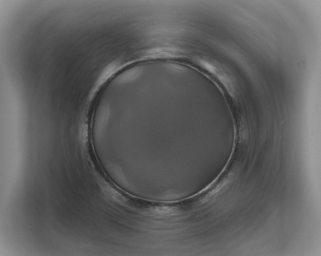 X0000111821459200908061126