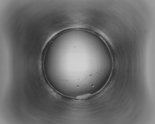 X0000111821460200908061125