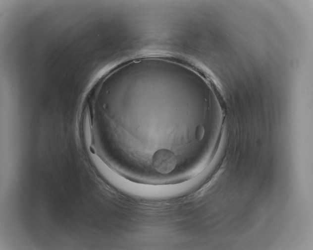 X0000111821461200908061125