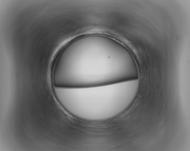X0000111821464200908061125