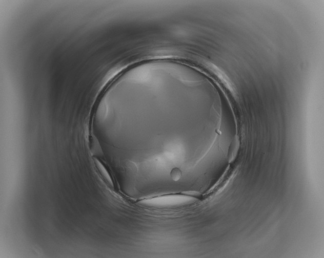 X0000111821465200908061125