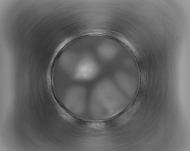 X0000111821466200908061125
