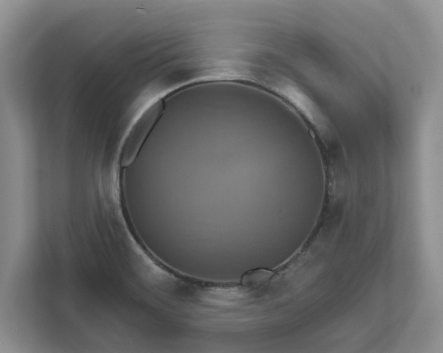 X0000111821468200908061125