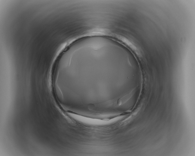 X0000111821469200908061125