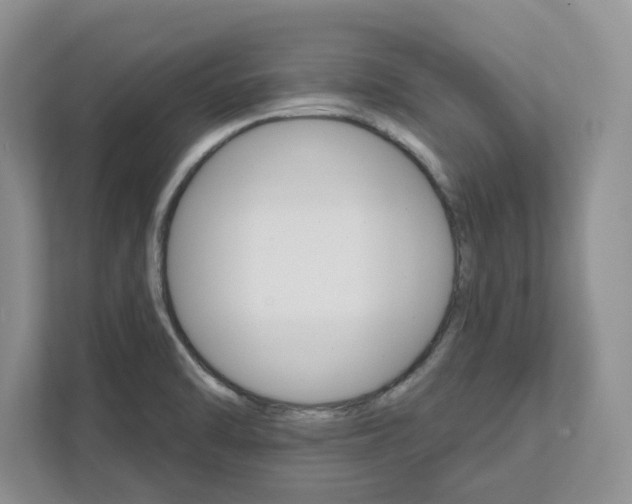 X0000111821470200908061125