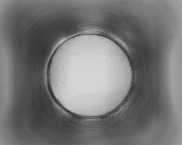 X0000111821471200908061125