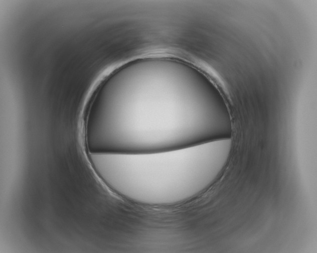 X0000111821472200908061125