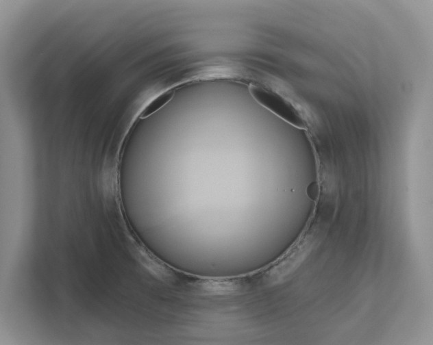 X0000111821473200908061125