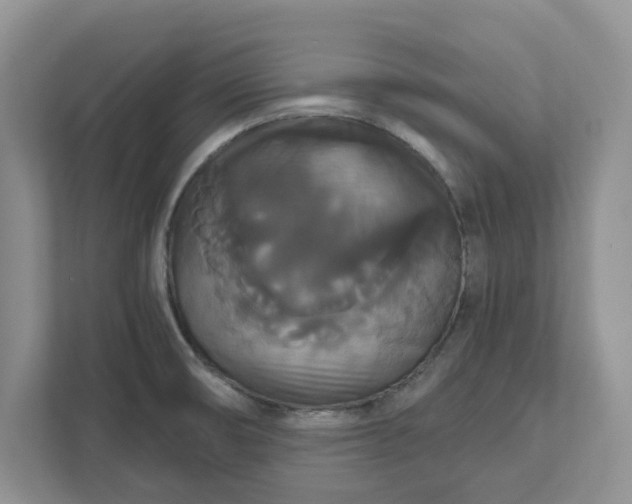 X0000111821474200908061125