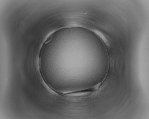 X0000111821476200908061125