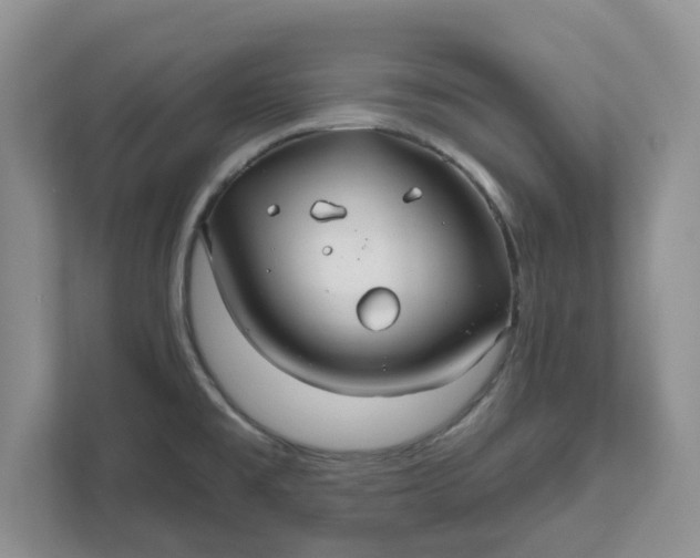 X0000111821477200908061125