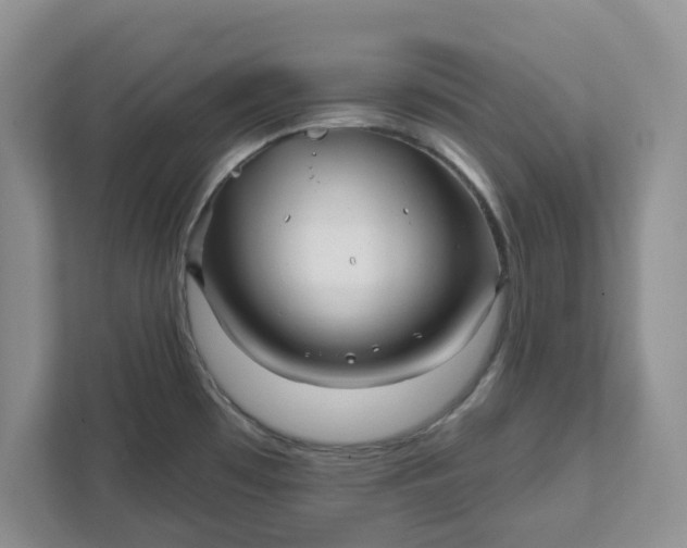 X0000111821481200908061125