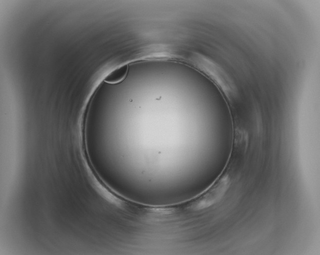 X0000111821483200908061125