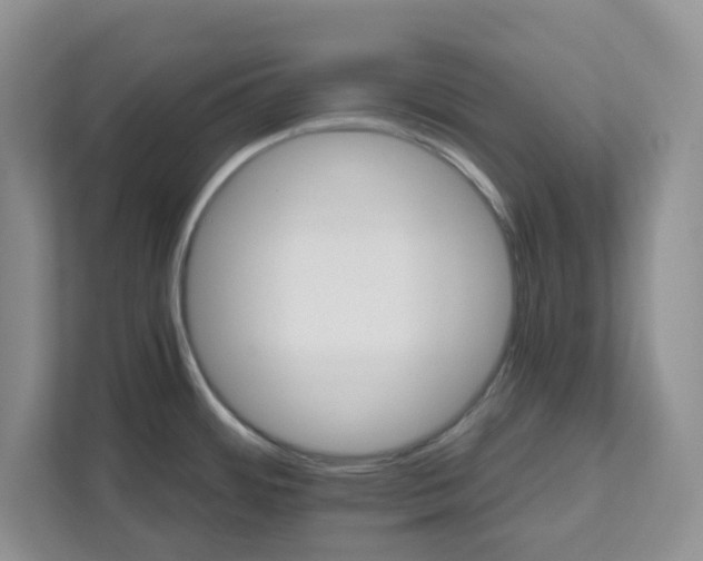 X0000111821484200908061125