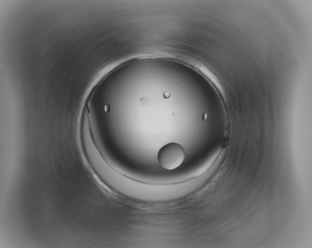 X0000111821485200908061125