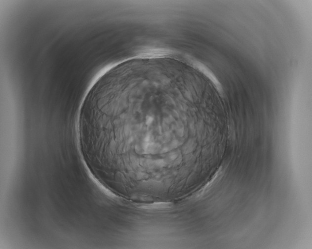 X0000111821487200908061125