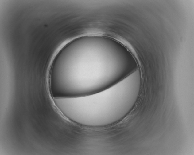 X0000111821488200908061125