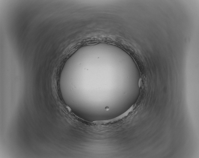 X0000111821489200908061125