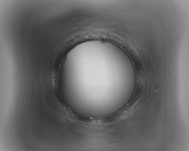X0000111821490200908061125
