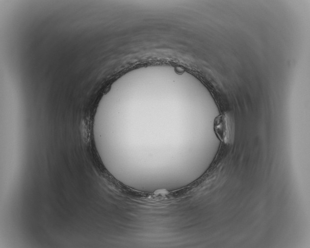 X0000111821491200908061125