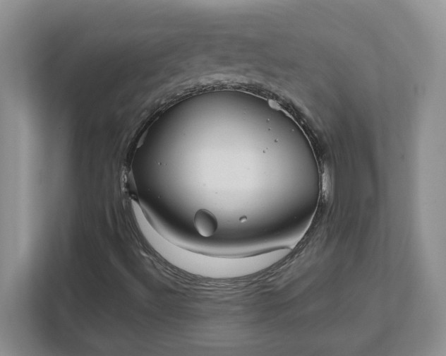 X0000111821492200908061125