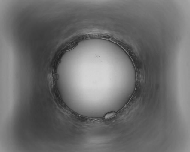 X0000111821493200908061125