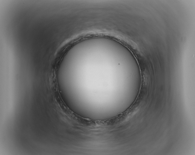 X0000111821494200908061125