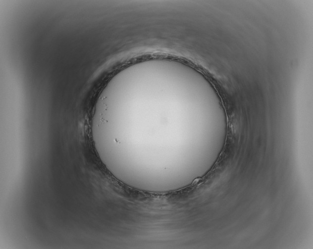 X0000111821495200908061125